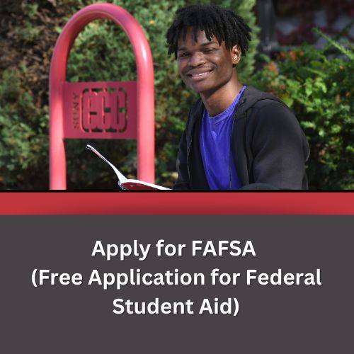 apply for fafsa